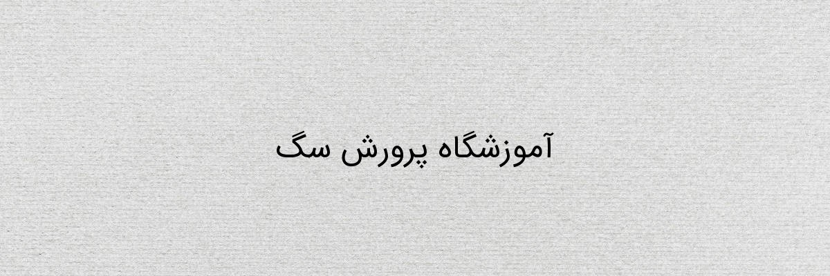 آموزشگاه پرورش سگ آموزشگاه پرورش سگ