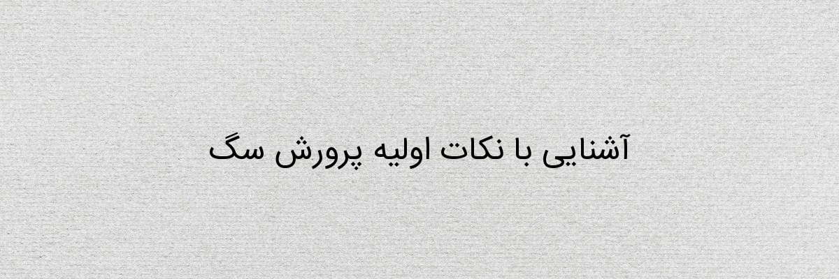 آشنایی با نکات اولیه پرورش سگ