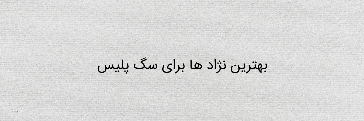 بهترین نژاد ها برای سگ پلیس