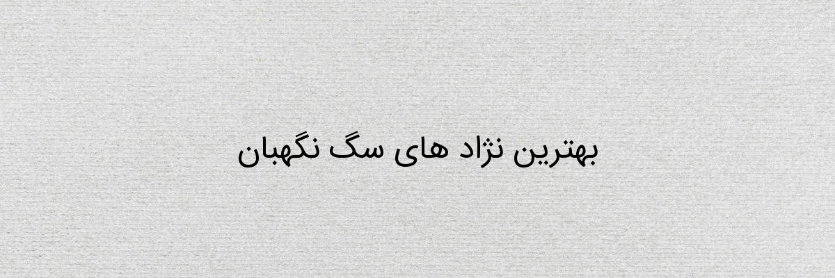 بهترین نژاد های سگ نگهبان