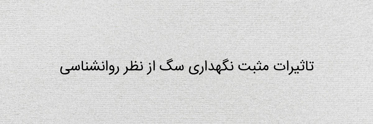 تاثیرات مثبت نگهداری سگ از نظر روانشناسی