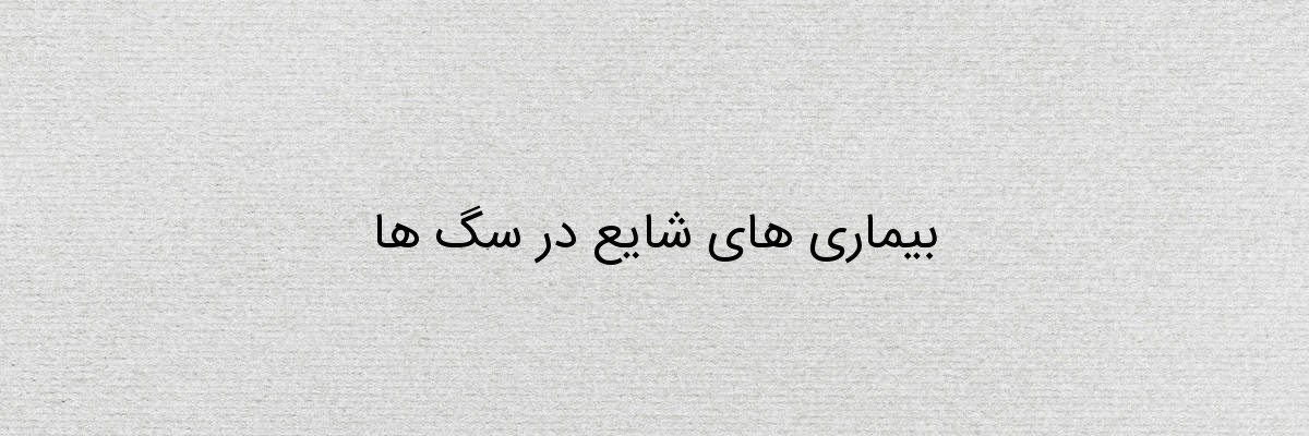 بیماری های شایع در سگ ها بیماری های شایع در سگ ها