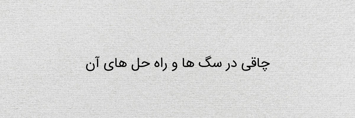 چاقی در سگ ها و راه حل های آن