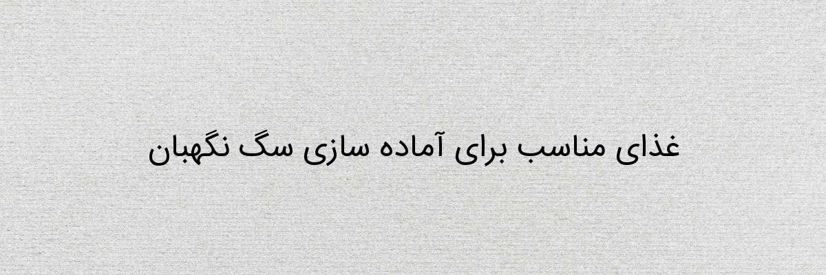 غذای مناسب برای آماده سازی سگ نگهبان