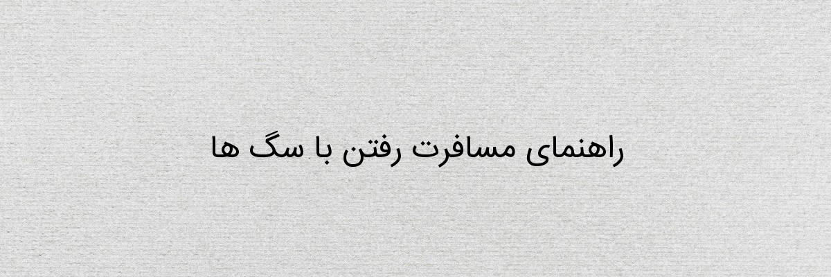 راهنمای مسافرت رفتن با سگ ها