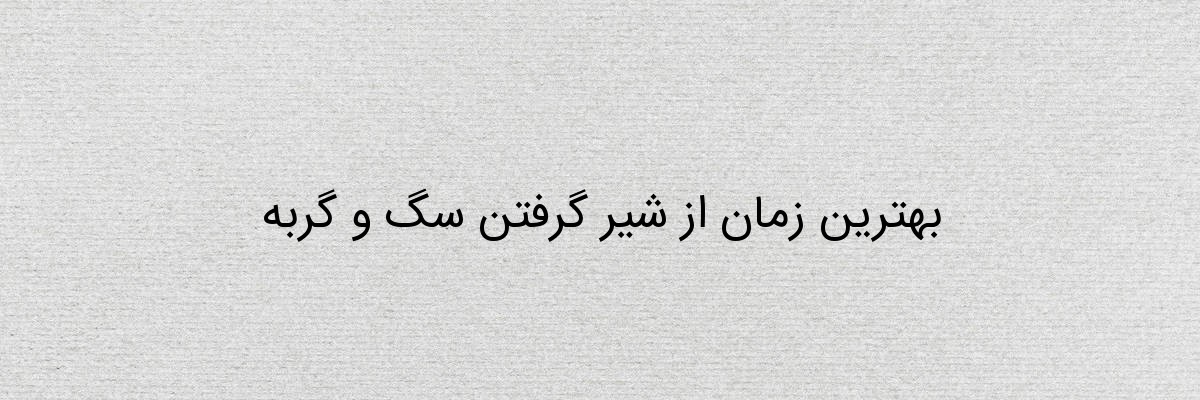 بهترین زمان از شیر گرفتن سگ و گربه